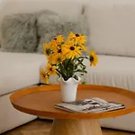 House 66 3*