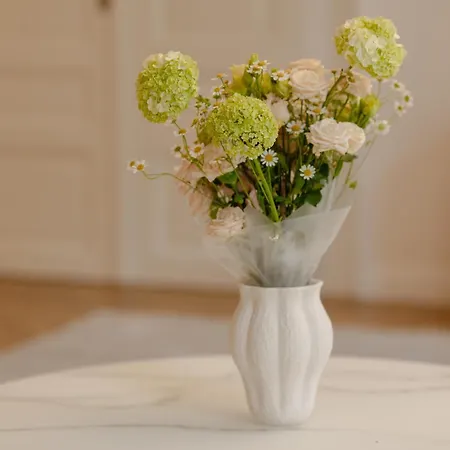 شقة فندقية House 66 براشوف