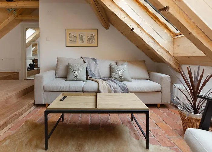 公寓式酒店 House 66 布拉索夫