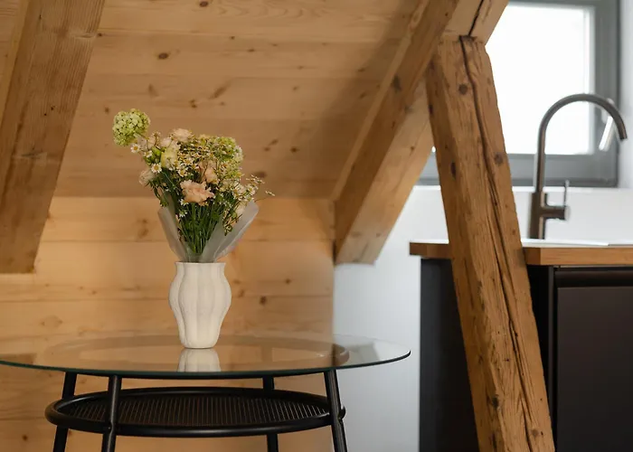 House 66 布拉索夫