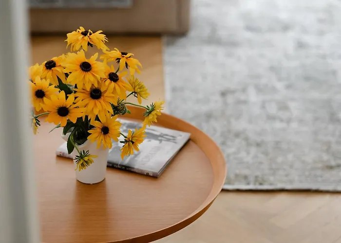 公寓式酒店 House 66