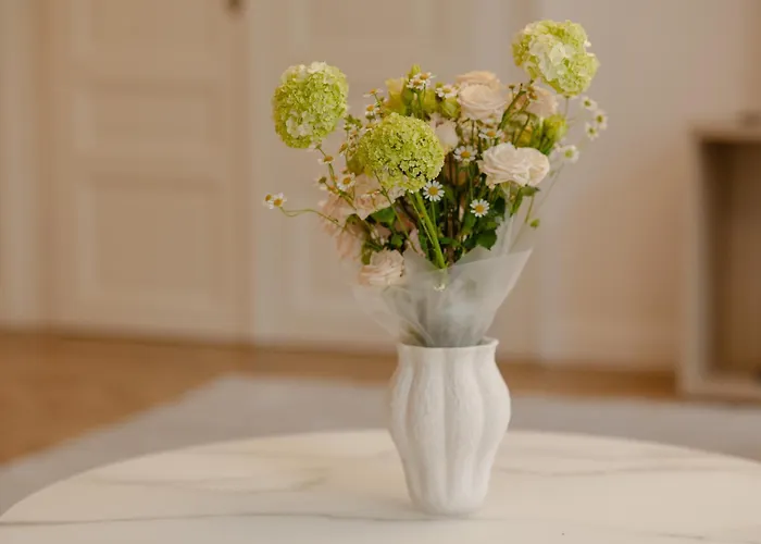 Aparthotel House 66 Braşov